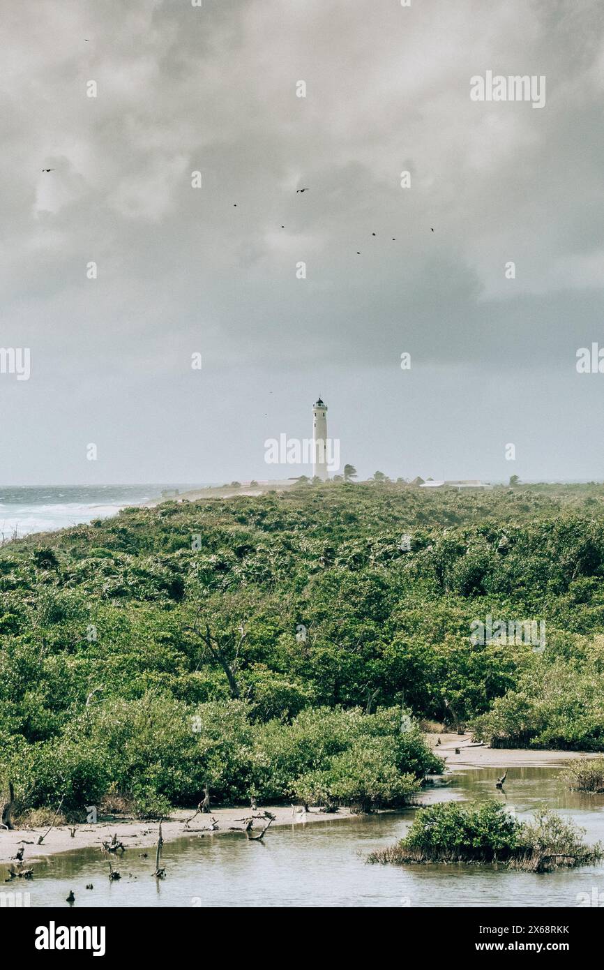 Der Leuchtturm steht hoch inmitten üppiger Vegetation unter bewölktem Himmel in Cozumel, Mexiko Stockfoto