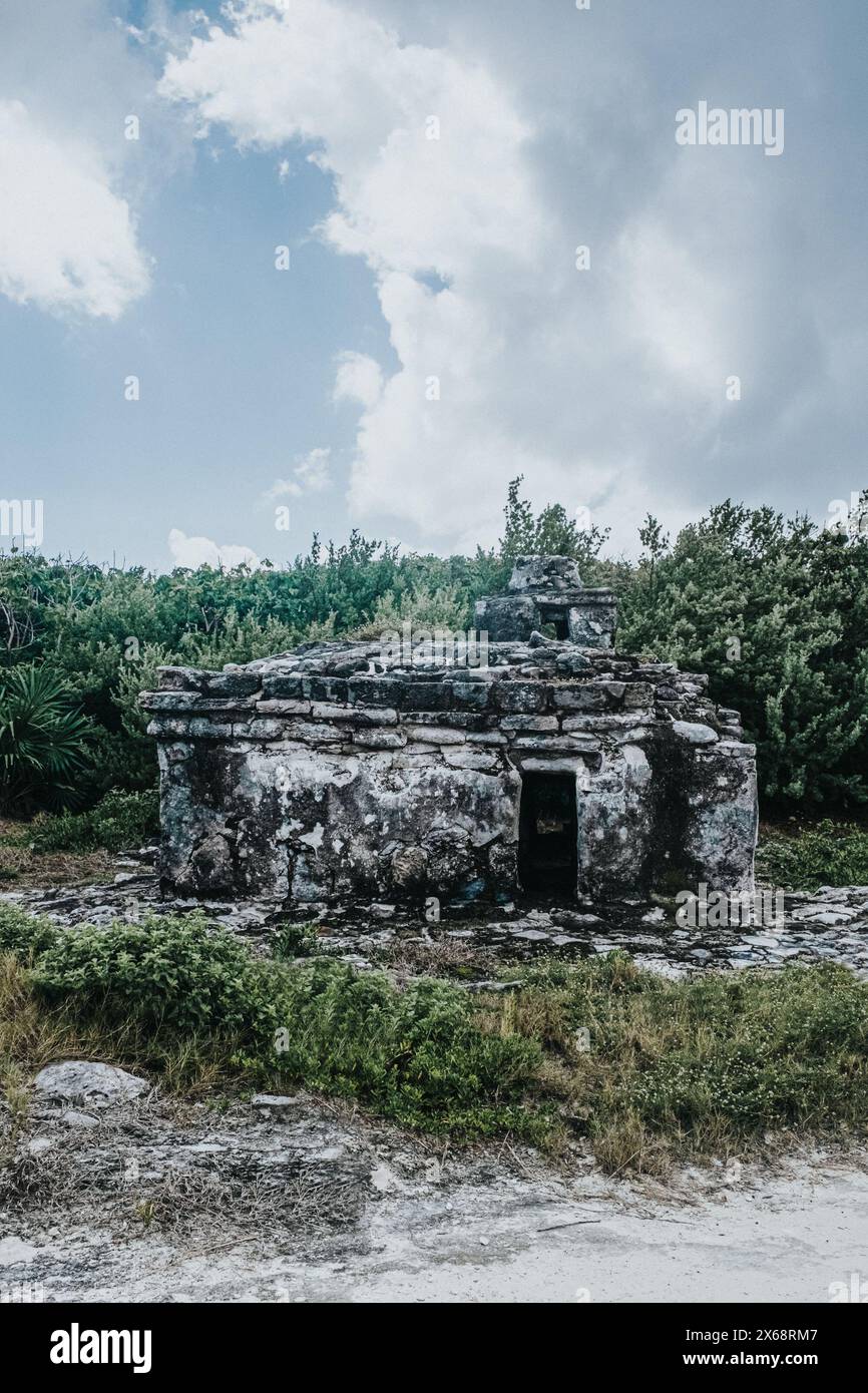 Alte Maya-Ruine umgeben von üppigem Laub in Cozumel, Mexiko Stockfoto