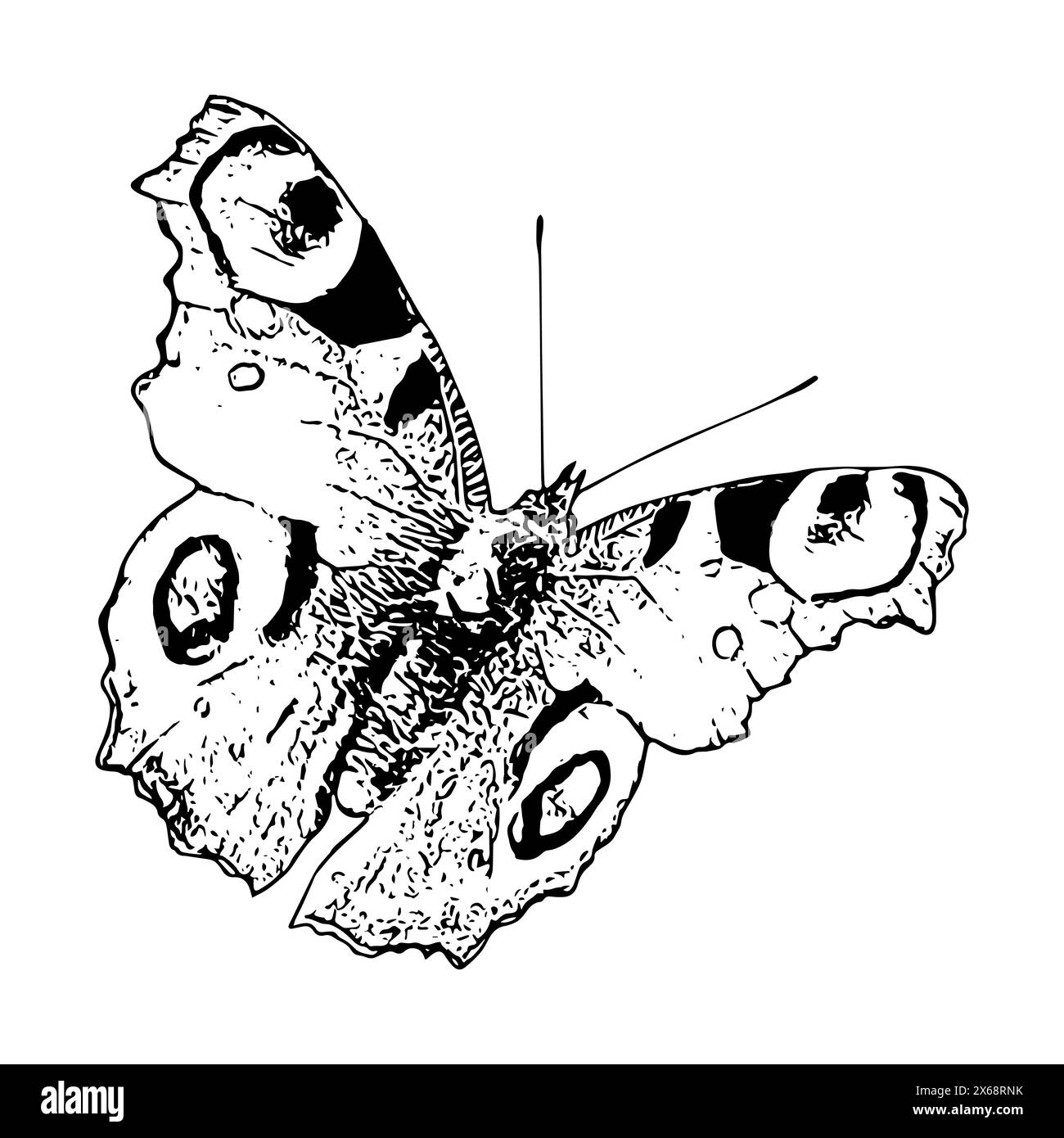 Ein Schmetterling mit schwarz-weißen Flecken fliegt in der Luft. Das Konzept von Freiheit und Anmut, während der Schmetterling durch den Himmel schwingt Stock Vektor