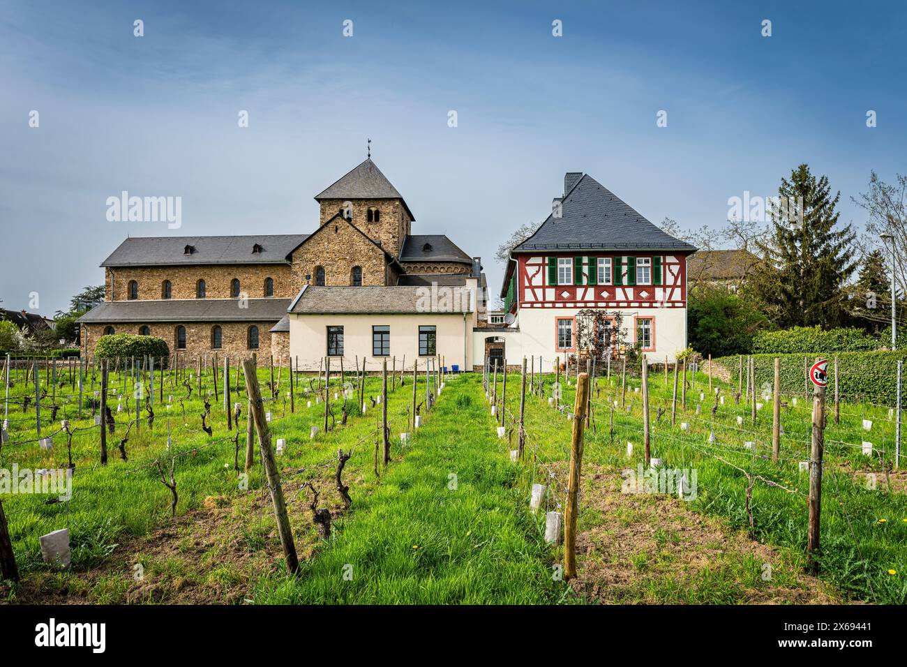 Dreischiffige romanische Kirche in Mittelheim im Rheingau in Hessen, der ältesten Kirche des Rheingaus St. Aegidius gewidmet, Stockfoto