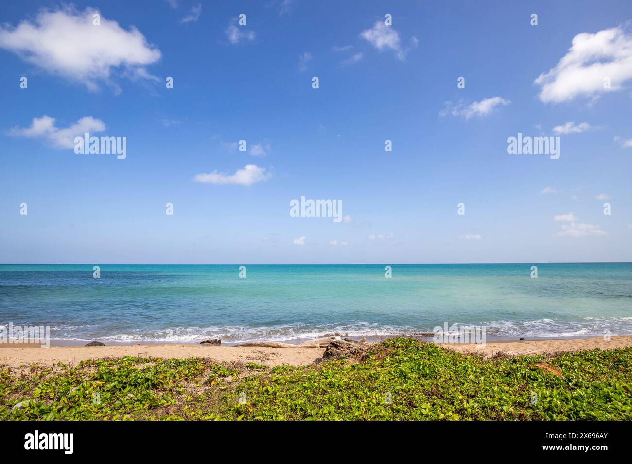 Natur in besonderer Weise, traumhafte Landschaft direkt am türkisfarbenen Meer. Einsame Sandstrände in der Karibik. Pointe Allegre auf Basse Terre, Guadeloupe, Französische Antillen. Stockfoto