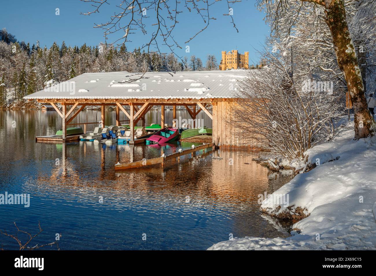 Alpsee mit Schloss Hohenschwangau, Schwangau, Ostallgäu, Schwaben, Bayern, Deutschland Stockfoto