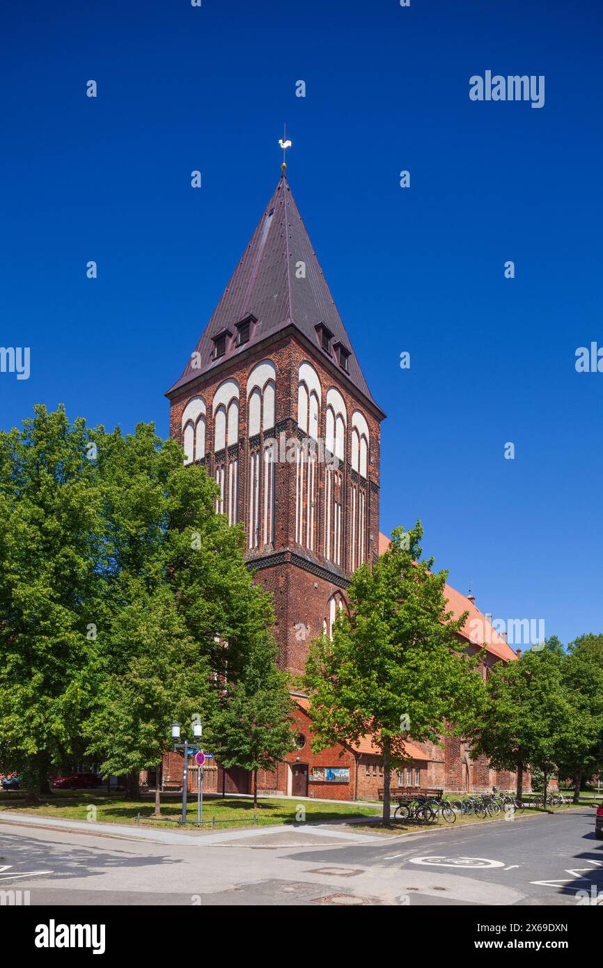 Jacobikirche, Greifswald, Mecklenburg-Vorpommern, Deutschland, Europa Stockfoto