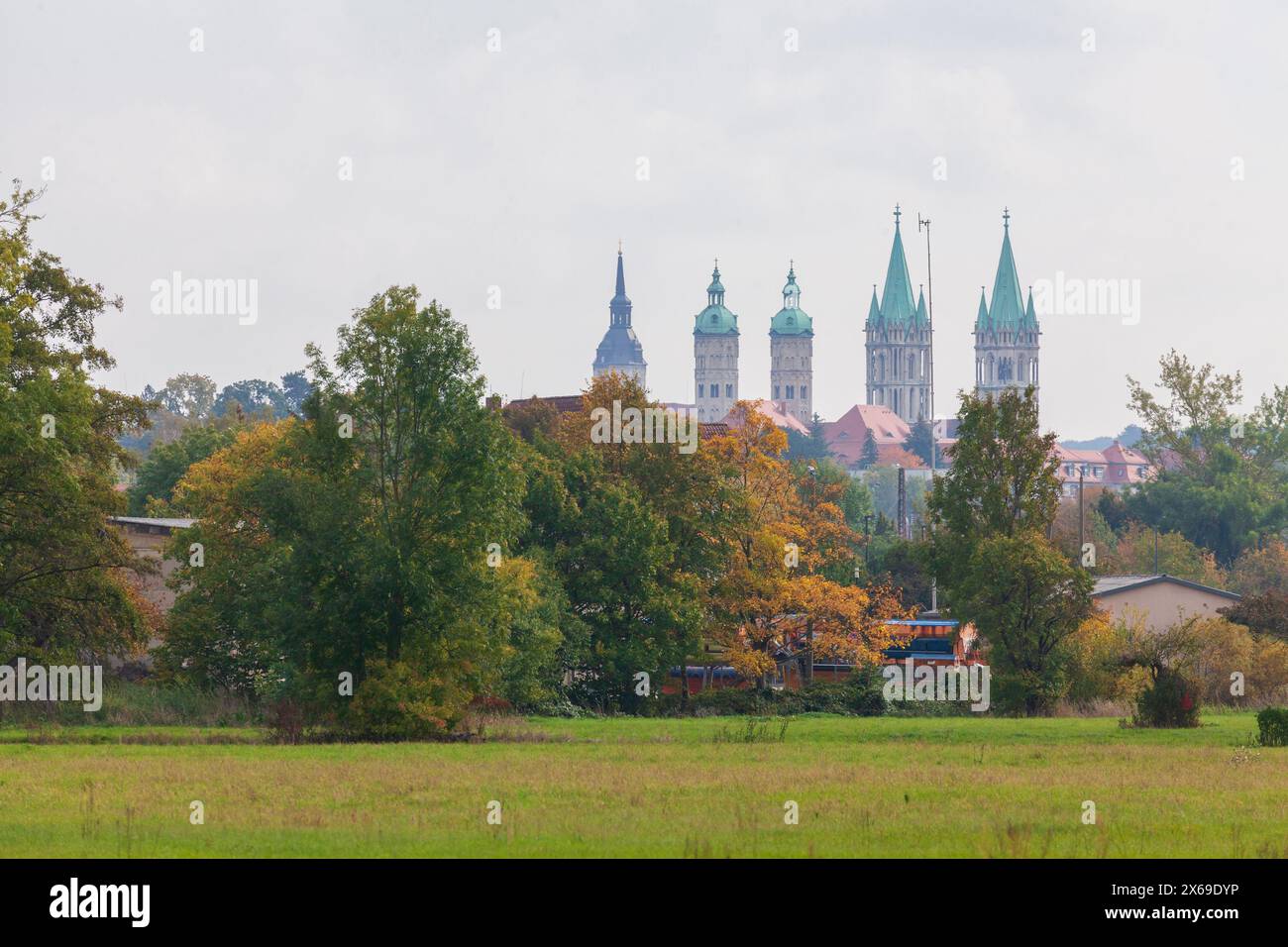 Wiese mit dem Naumburger Dom St. Peter und Paul, Naumburg, Sachsen-Anhalt, Deutschland, Europa Stockfoto