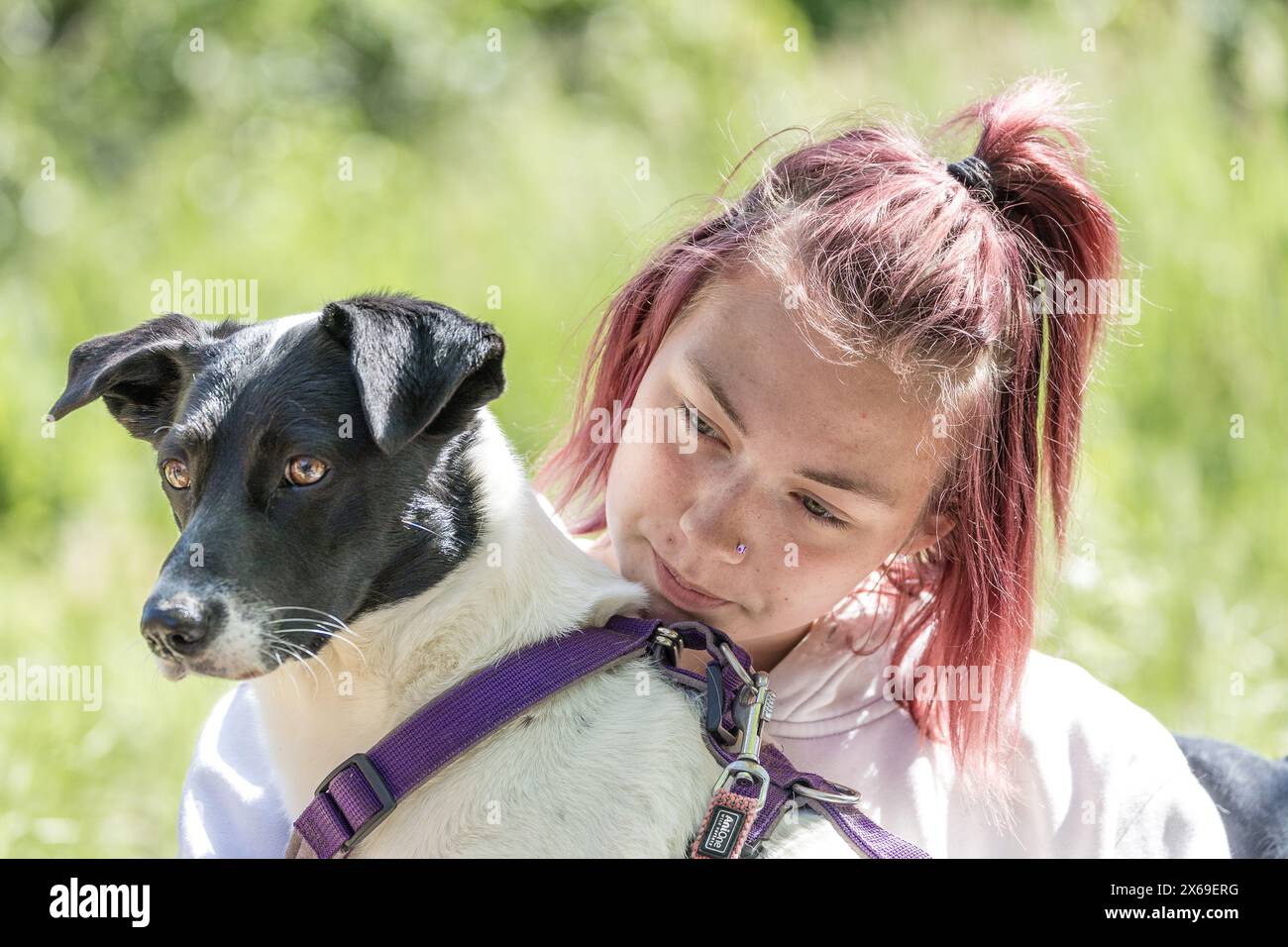 PRODUKTION - 09. Mai 2024, Brandenburg, Schönewalde: Sarah, Praktikantin auf dem Hof der Verbundenheit, kuschelt mit dem Mischhund Melange. Auf Jessica Exners Farm treffen Menschen Tiere, Landschaften und andere Menschen. Ziel der Betriebsinhaber ist es, Menschen zu helfen, sich selbst zu finden. Foto: Frank Hammerschmidt/dpa Stockfoto