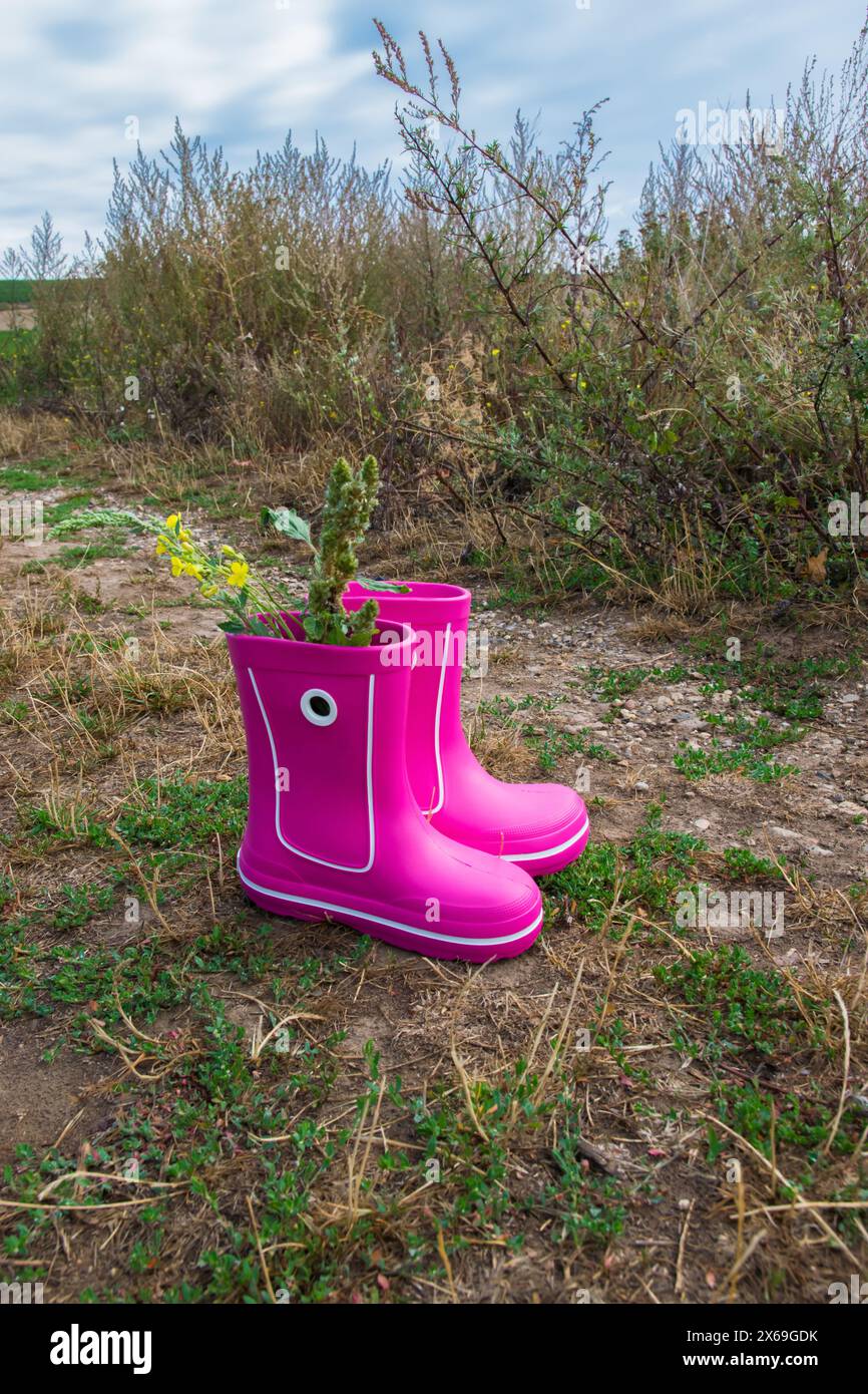 Pinkfarbene Gummistiefel mit Trauben und wunderschöner grüner Weinberg. Country-STYLE. Stockfoto