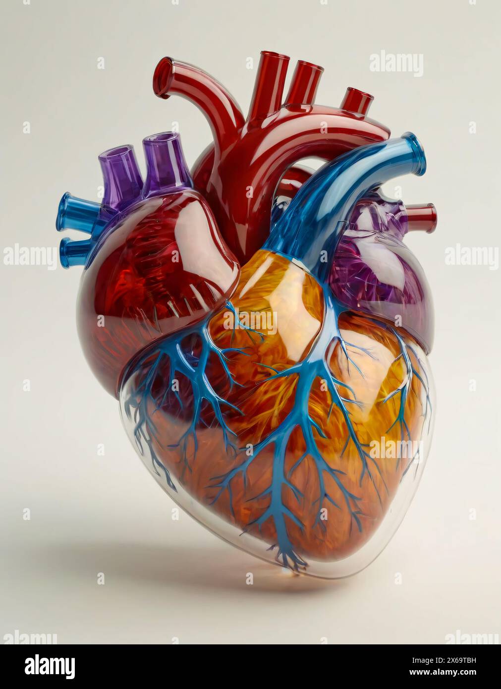 Menschliches Herz, semirealistische Darstellung. Konsistenz und Farbe der Bonbons Stockfoto