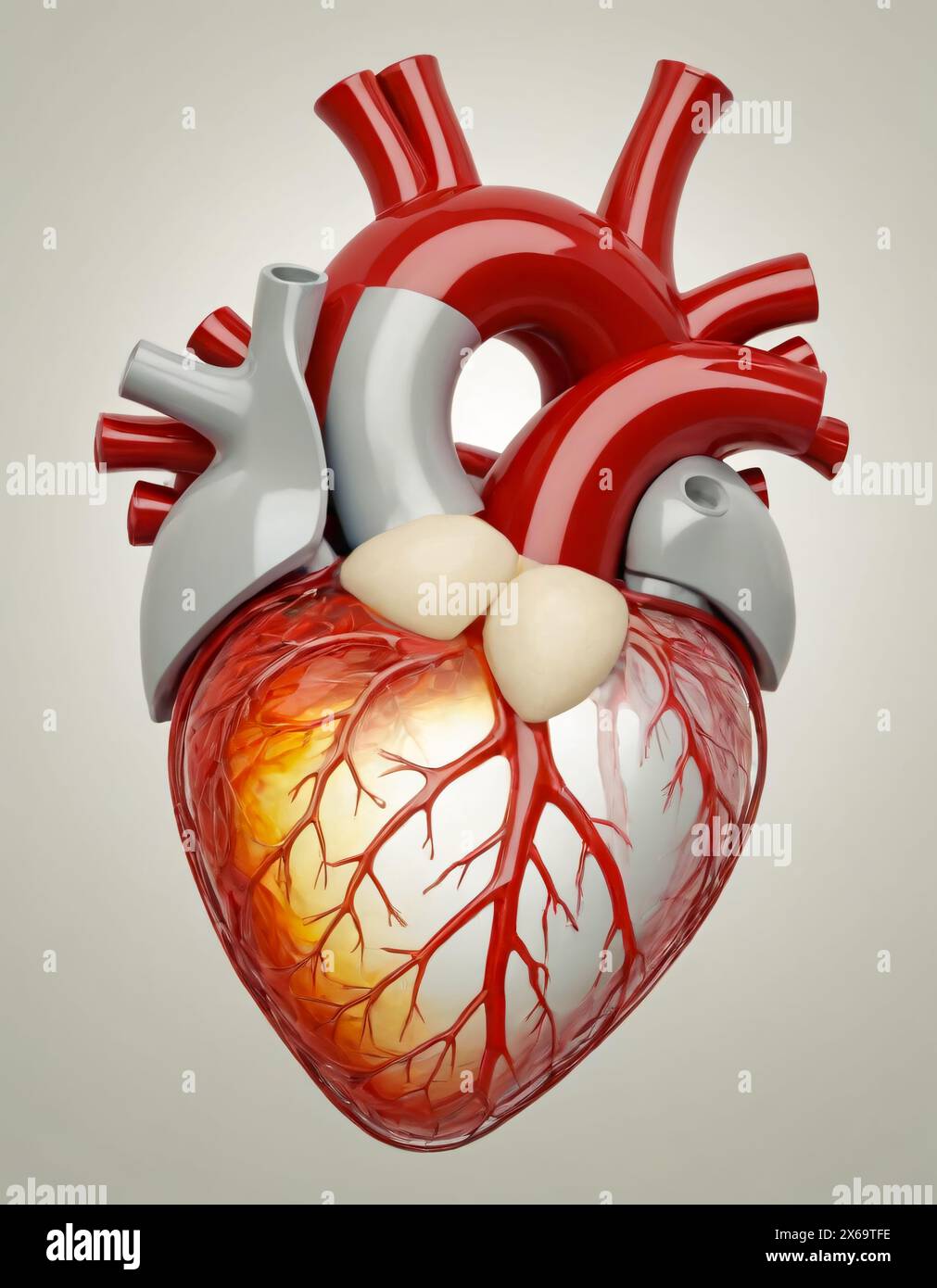 Menschliches Herz, futuristische Darstellung einer künstlichen bionischen Transplantationsminimalplastik Stockfoto