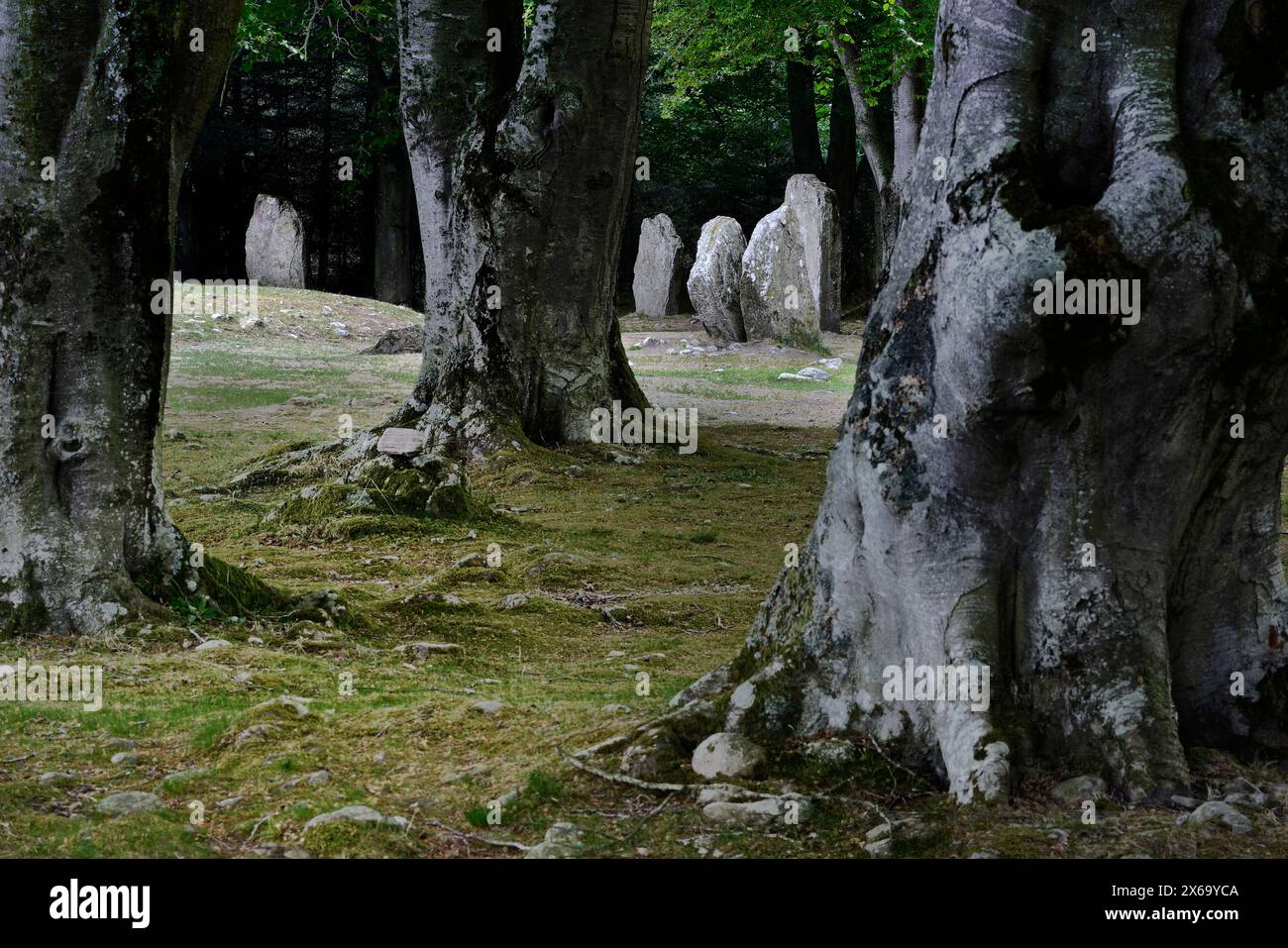 Balnuaran of Clava Cairns in der Nähe von Inverness, Schottland. Stehende Steinringe, die um das südliche kreisförmige Durchgangsgrab errichtet wurden, nachdem es außer Betrieb war Stockfoto