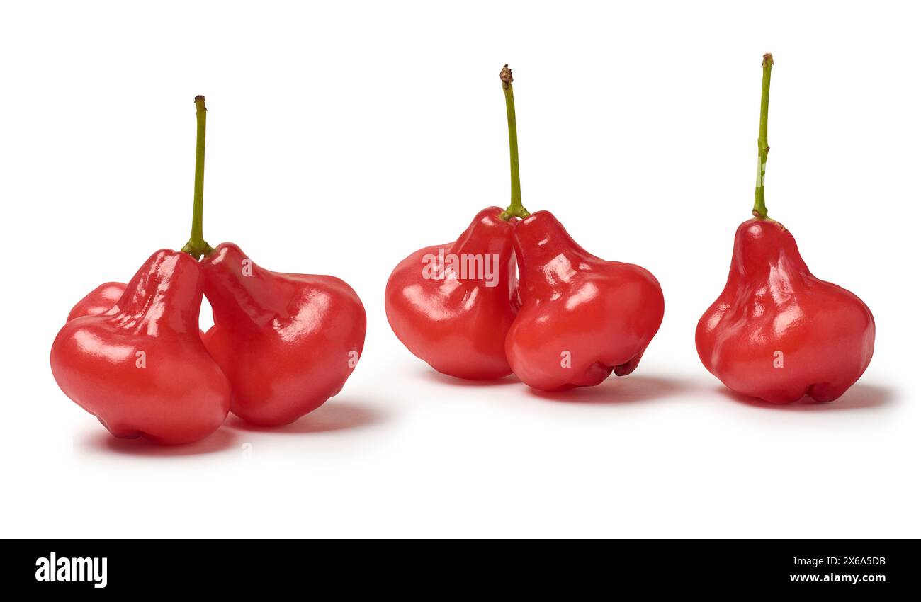 Set aus Jambu oder Rosenapfel isolierter weißer Hintergrund, Wasser, Wachs oder jamaikanischer Apfel, rote Farbe glockenförmige tropische Frucht, einheimisch in südostasien Stockfoto