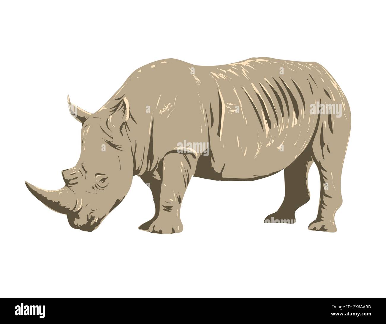Art déco- oder WPA-Poster eines Nashorns oder eines weißen Nashorns im Kruger-Nationalpark in Limpopo und Mpumalanga im Nordosten Südafrikas, in W Stock Vektor