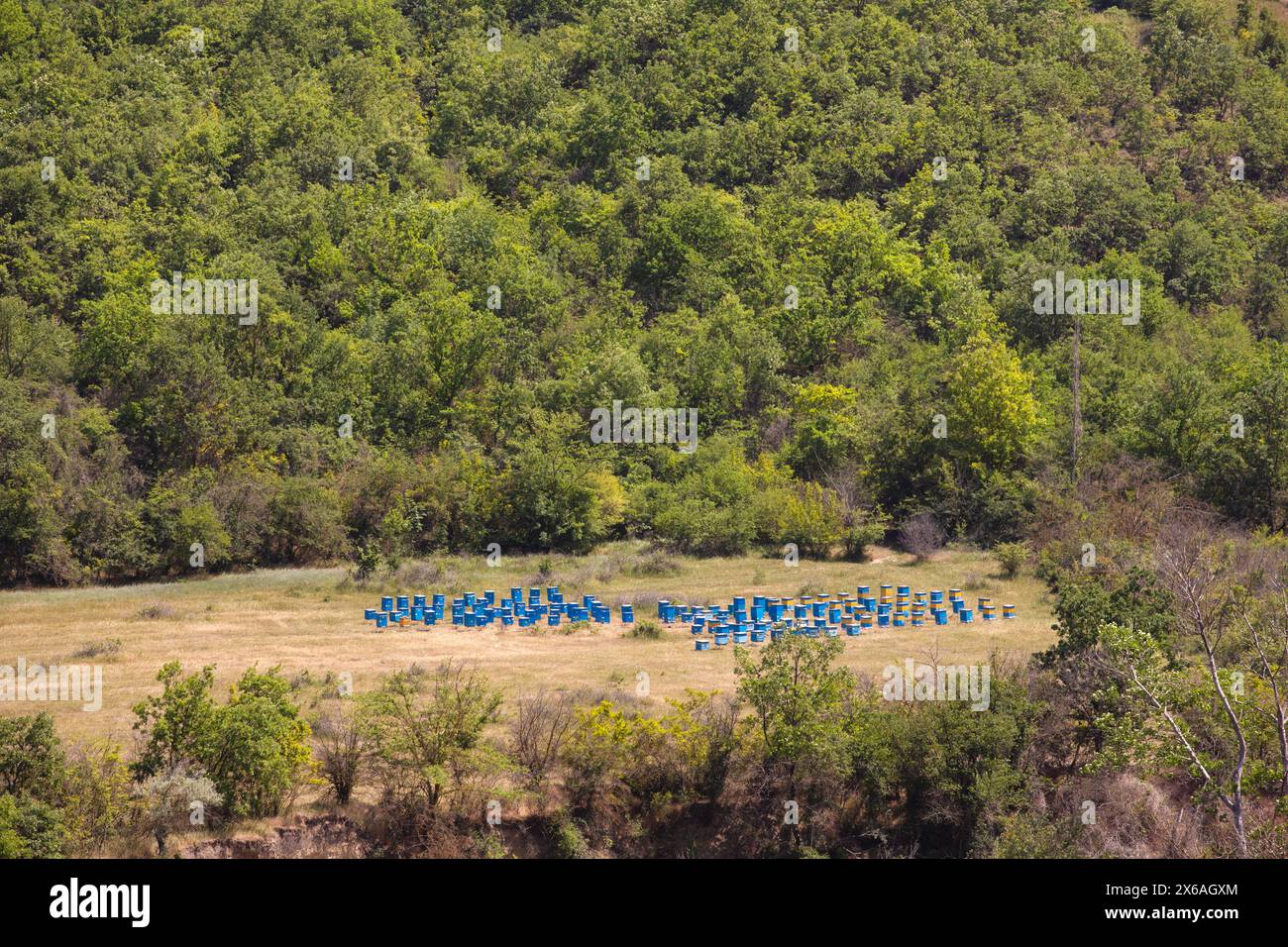 Viele Bienenstöcke hintereinander auf einer Lichtung im Wald. Aserbaidschan. Stockfoto