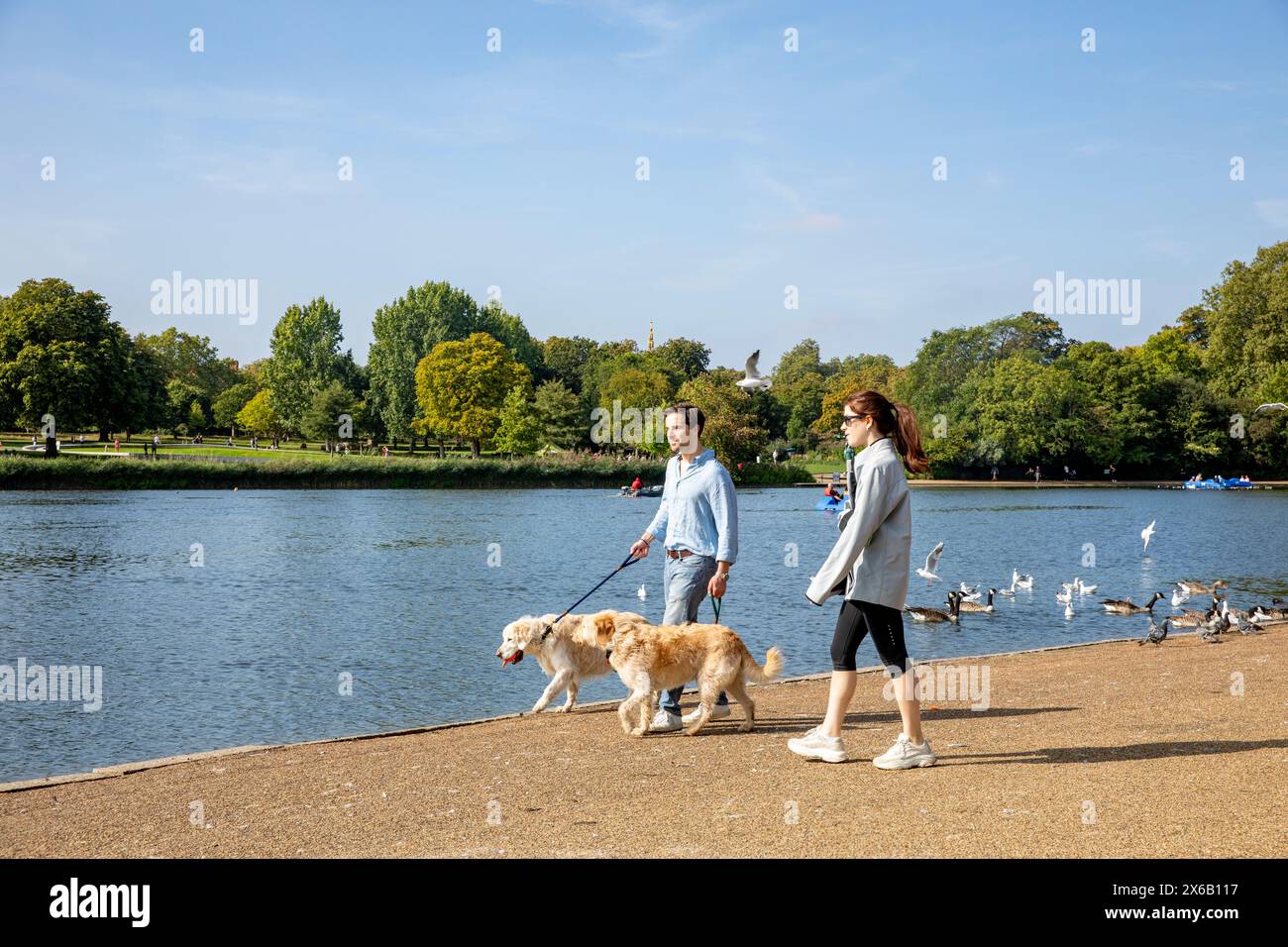 Hyde Park London The Serpentine, junge männliche und weibliche Paare aus den 30er Jahren, die mit ihren Labrador-Hunden am See spazieren gehen, London Sunny Day, England, UK, 2023 Stockfoto