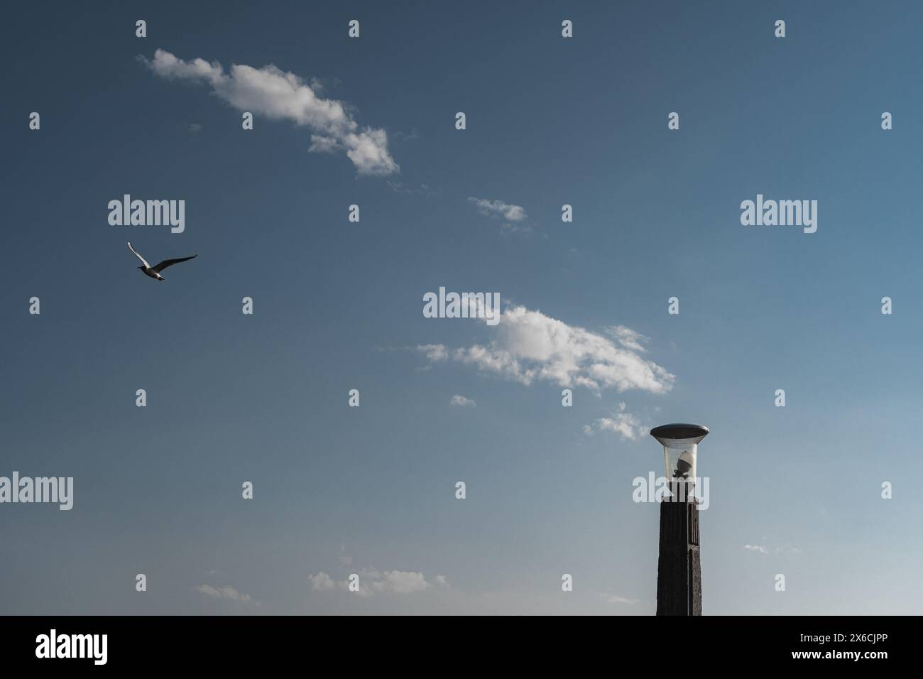 möwen fliegen über das Meer mit klarem Himmel Stockfoto