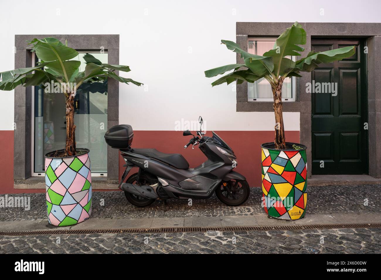 Motorrad parkt auf einem Gehweg zwischen zwei dekorativen Pflanzgefäßen, Câmara de Lobos, Medeira, Portugal Stockfoto