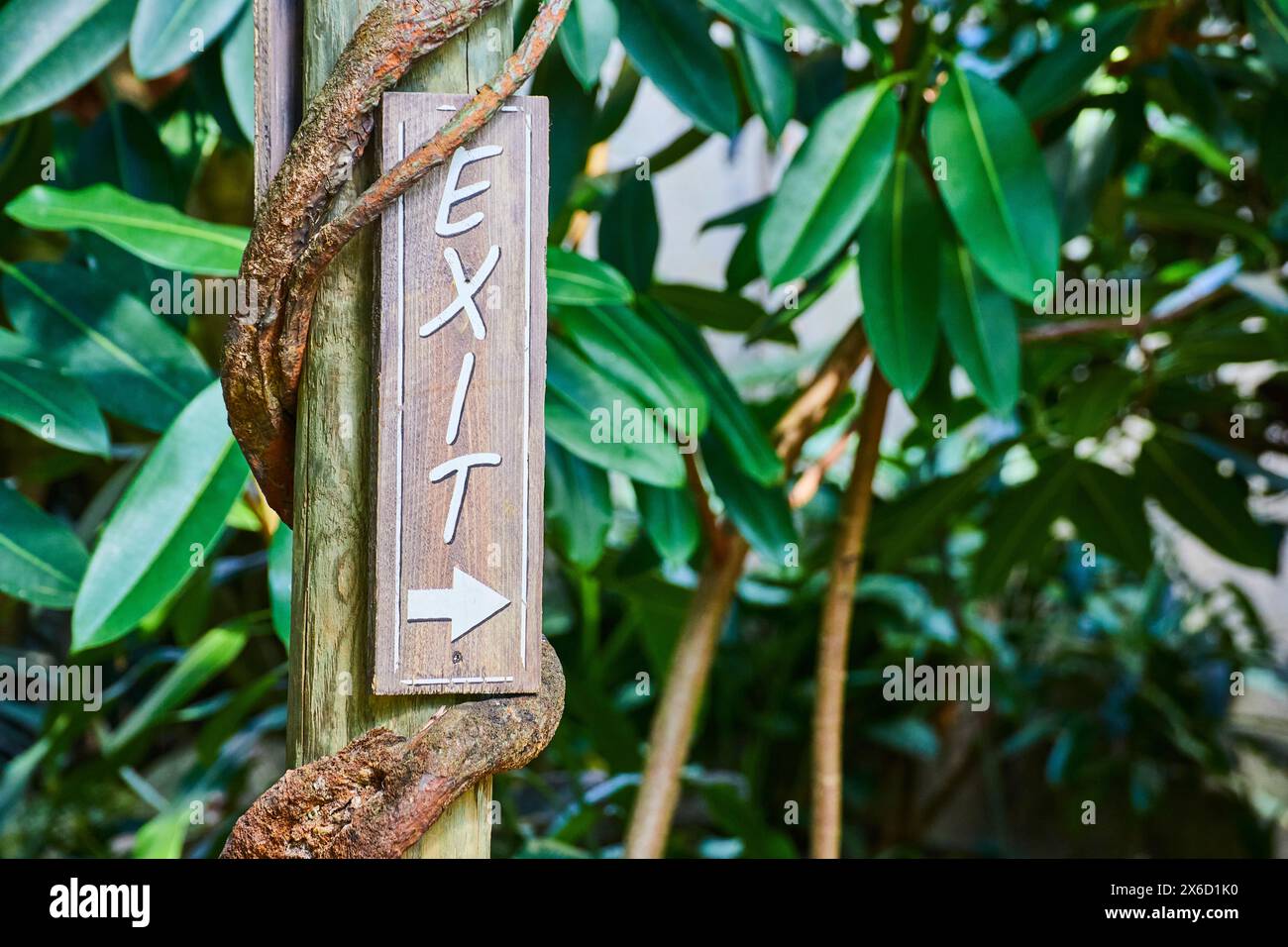 Rustikales AUSSTIEGSSCHILD mit Vine in tropischer Gartenumgebung Stockfoto