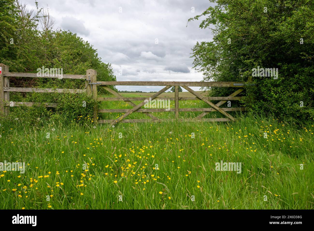 Ein wenig benutztes hölzernes 5-Bar-Tor in einem Feld umgeben von langem Gras, Butterblumen und wilden Blumen mit Hügeln und Himmel im Hintergrund. Stockfoto
