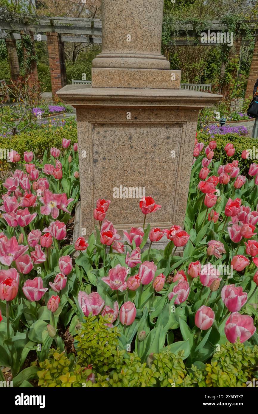 Granit Grabdenkmal im Rosengarten im Hillwood Mansion Museum Stockfoto