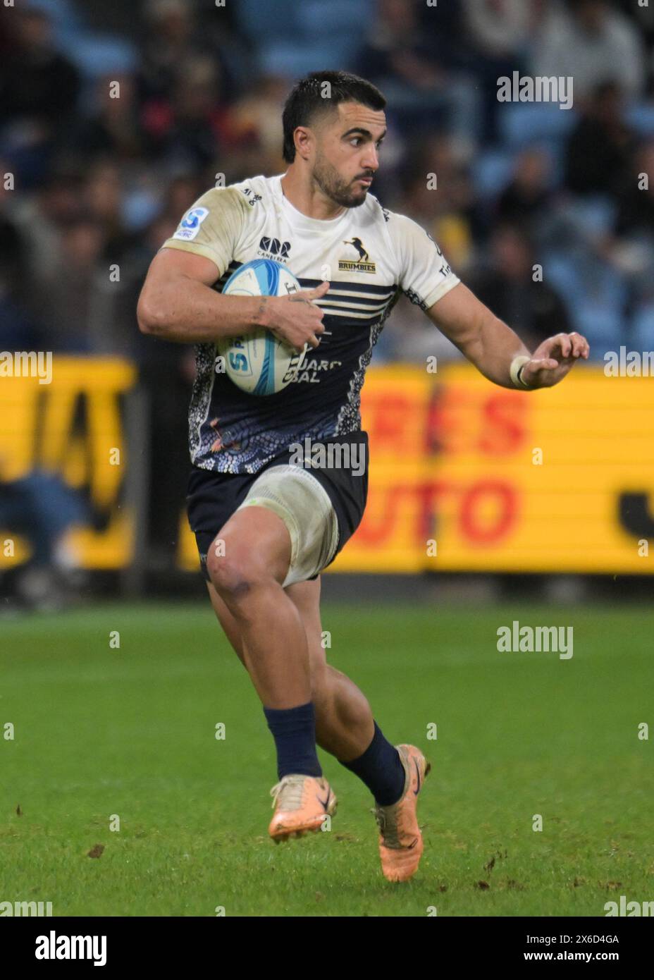 Tom Wright von ACT Brumbies wurde 2024 beim Super Rugby Pacific Match zwischen NSW Waratahs und ACT Brumbies im Allianz Stadium gesehen. Endergebnis; NSW Waratahs 21:29 AKT Brumbies. Stockfoto