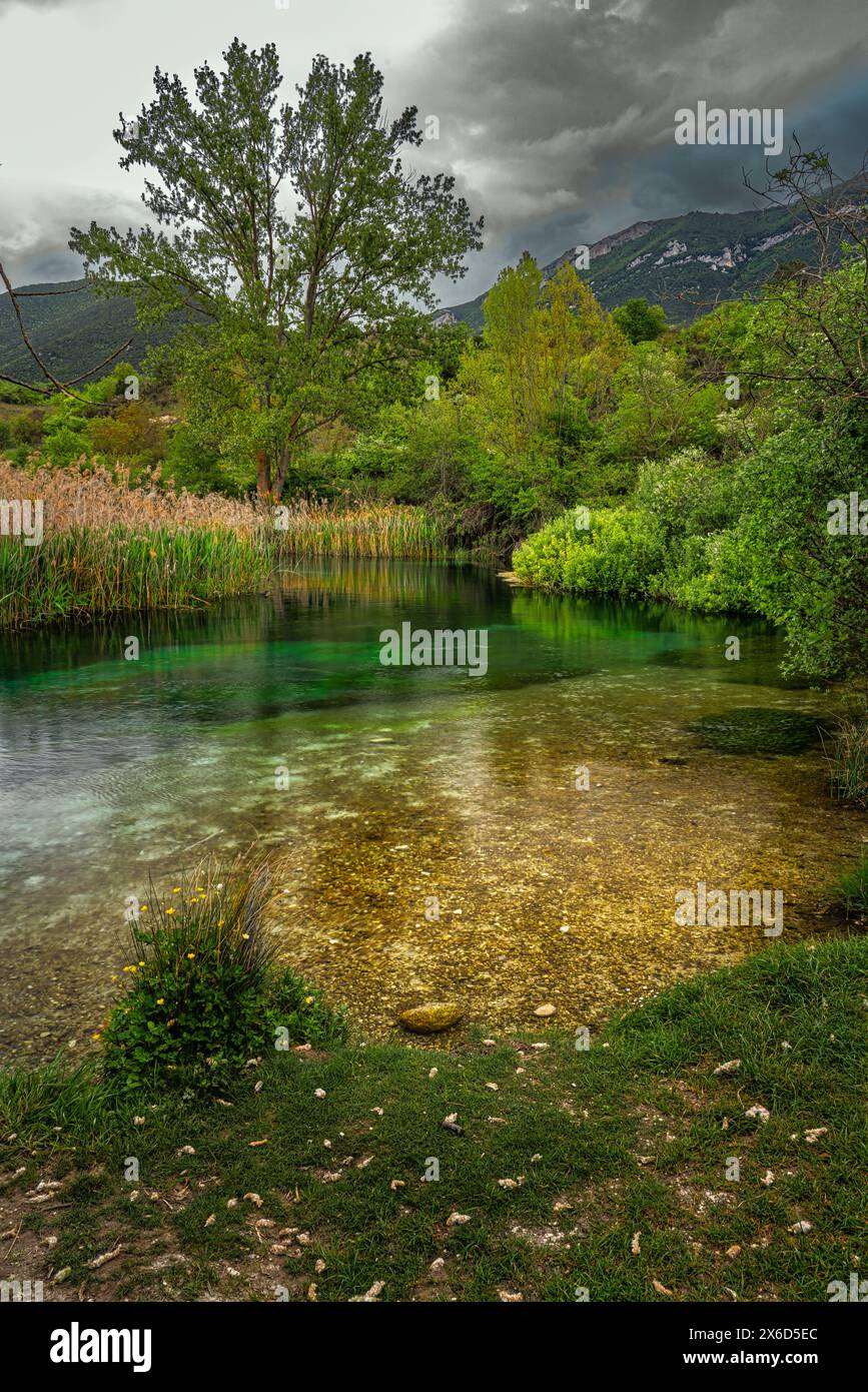 Das ruhige und transparente Wasser des Tirino fließt ruhig durch Wälder und Schilf. Gran Sasso und Monti della Laga Nationalpark, Abruzzen Stockfoto