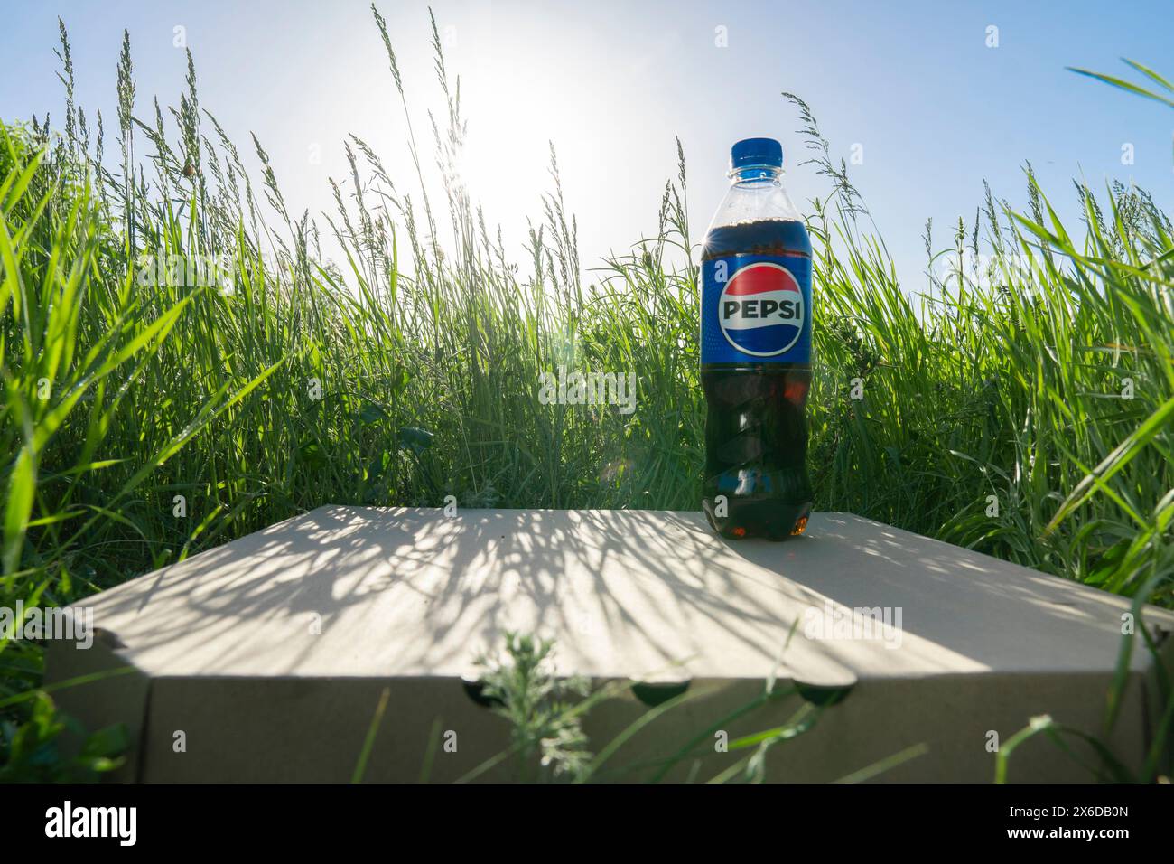 Eine halbe Liter-Flasche Pepsi Cola steht an einem sonnigen Sommertag auf einem geschlossenen Karton mit Pizza auf dem grünen Gras. Blick von unten Stockfoto