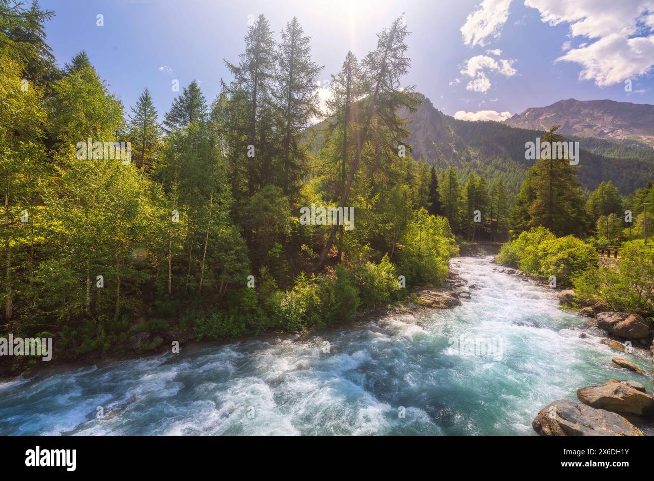 Ein Bach in der sommerlichen Berglandschaft in Cogne, italienische Alpen. Aostatal, Italien Stockfoto