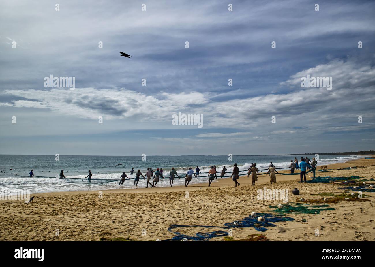 Sri-lankische Fischer fangen Fisch. Srilankische Fischer, die Fische fangen. Das von einem Boot geworfene Netz hat vielleicht einen halben Kilometer Sie ziehen es an Land für AT le Stockfoto