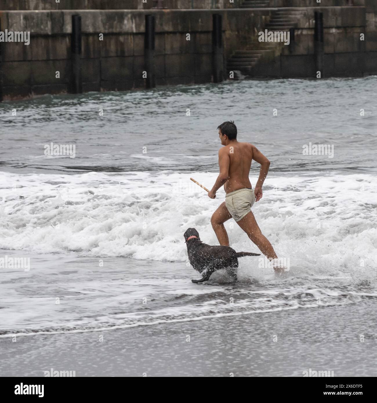 Ein Mann mit seinem Hund läuft im Meer entlang der Küste, Seixal, Madeira, Portugal Stockfoto