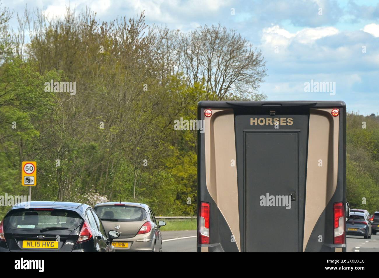 Newport, Wales, Großbritannien - 28. April 2024: Rückansicht eines Pferdekastenfahrzeugs auf der Autobahn M4 Stockfoto