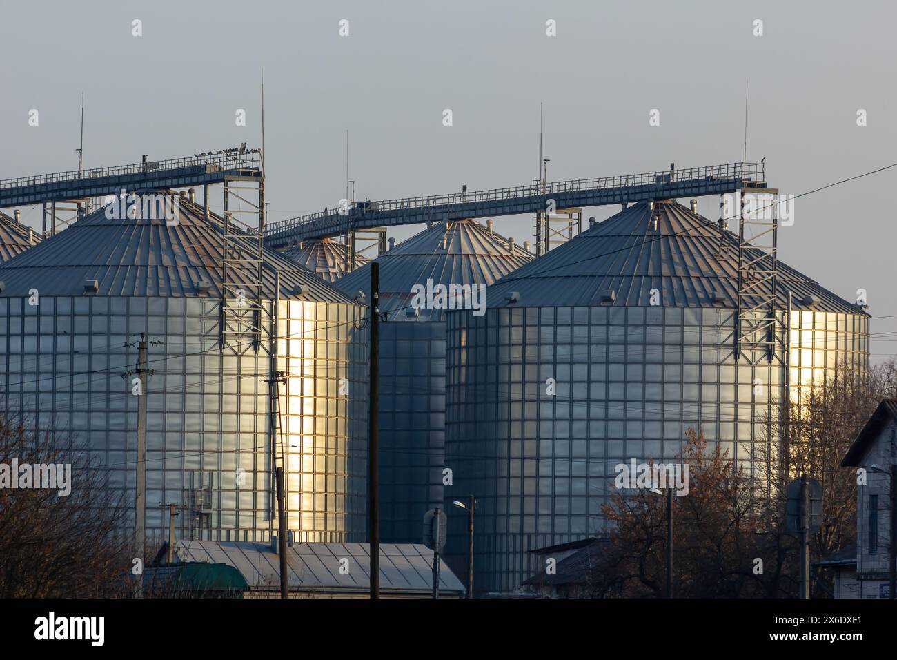 Eine große moderne Pflanze für die Lagerung und Verarbeitung von Getreidepflanzen. Blick auf die Kornkammer an einem sonnigen Tag. Große Eisenfässer mit Getreide. Silbersilos auf A Stockfoto