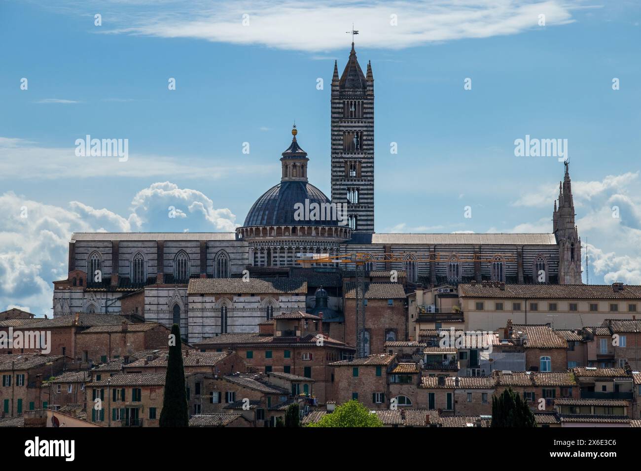 Die wunderschöne Kathedrale von Siena - Duomo di Siena - gesehen auf der Skyline der historischen mittelalterlichen Stadt in der Toskana, Italien an einem sonnigen Tag mit hellem Himmel. Stockfoto