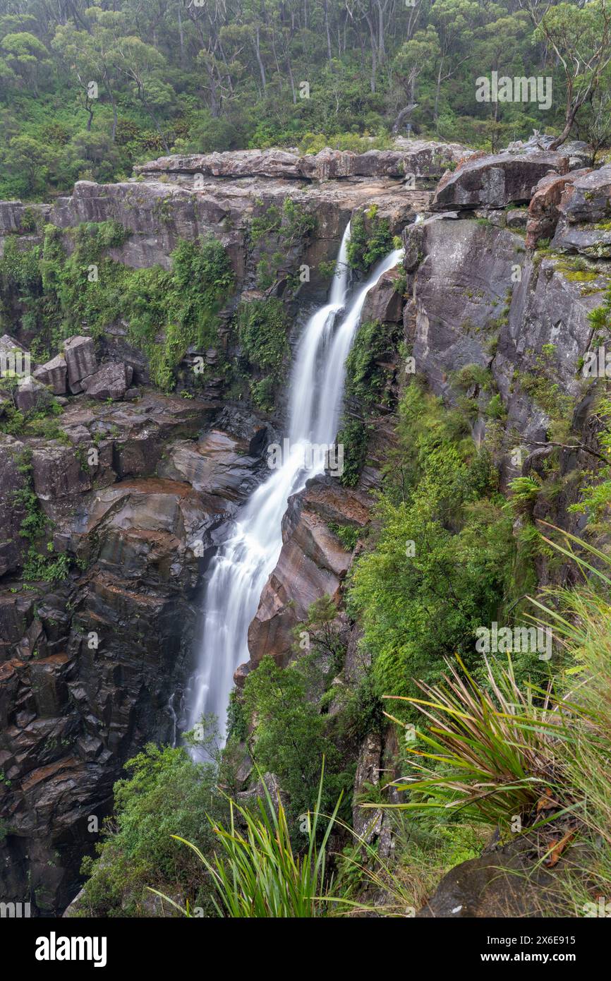 Carrington Falls im Budderoo National Park, Australien, NSW. Stockfoto