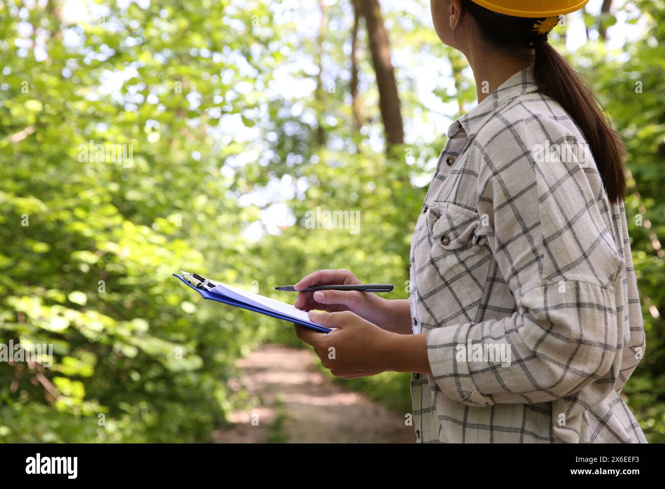 Forstwirt mit Klemmbrett untersucht Pflanzen im Wald, Nahaufnahme Stockfoto