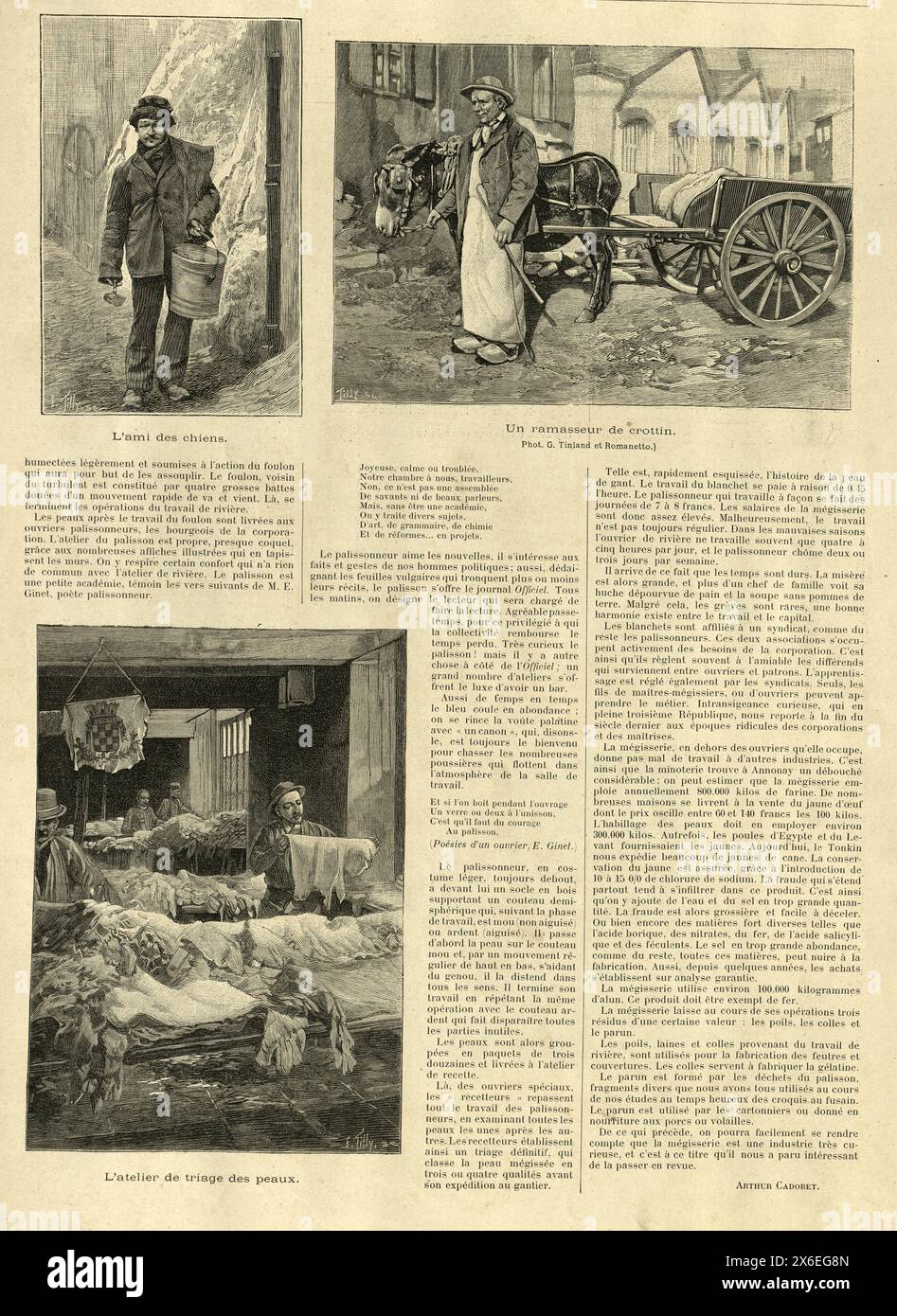 Reiner Finder, Sortieren von Häuten, Szenen in einer Gerberei, Mégisserie, in Annonay, Frankreich, viktorianisch, 1890er Jahre 19. Jahrhundert. Stockfoto