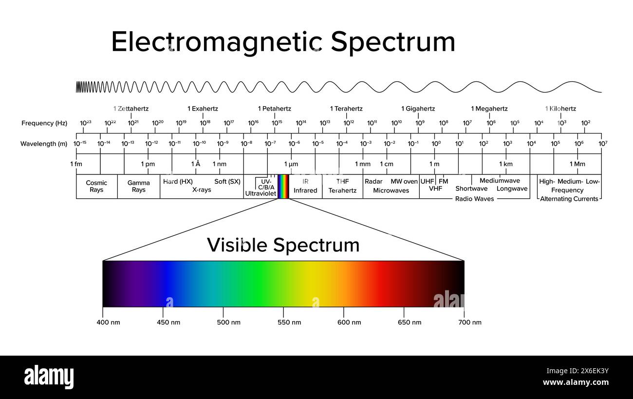 Diagramm des elektromagnetischen Spektrums, sichtbares Spektrum und Licht separat hervorgehoben. Der gesamte Bereich der elektromagnetischen Strahlung. Stockfoto