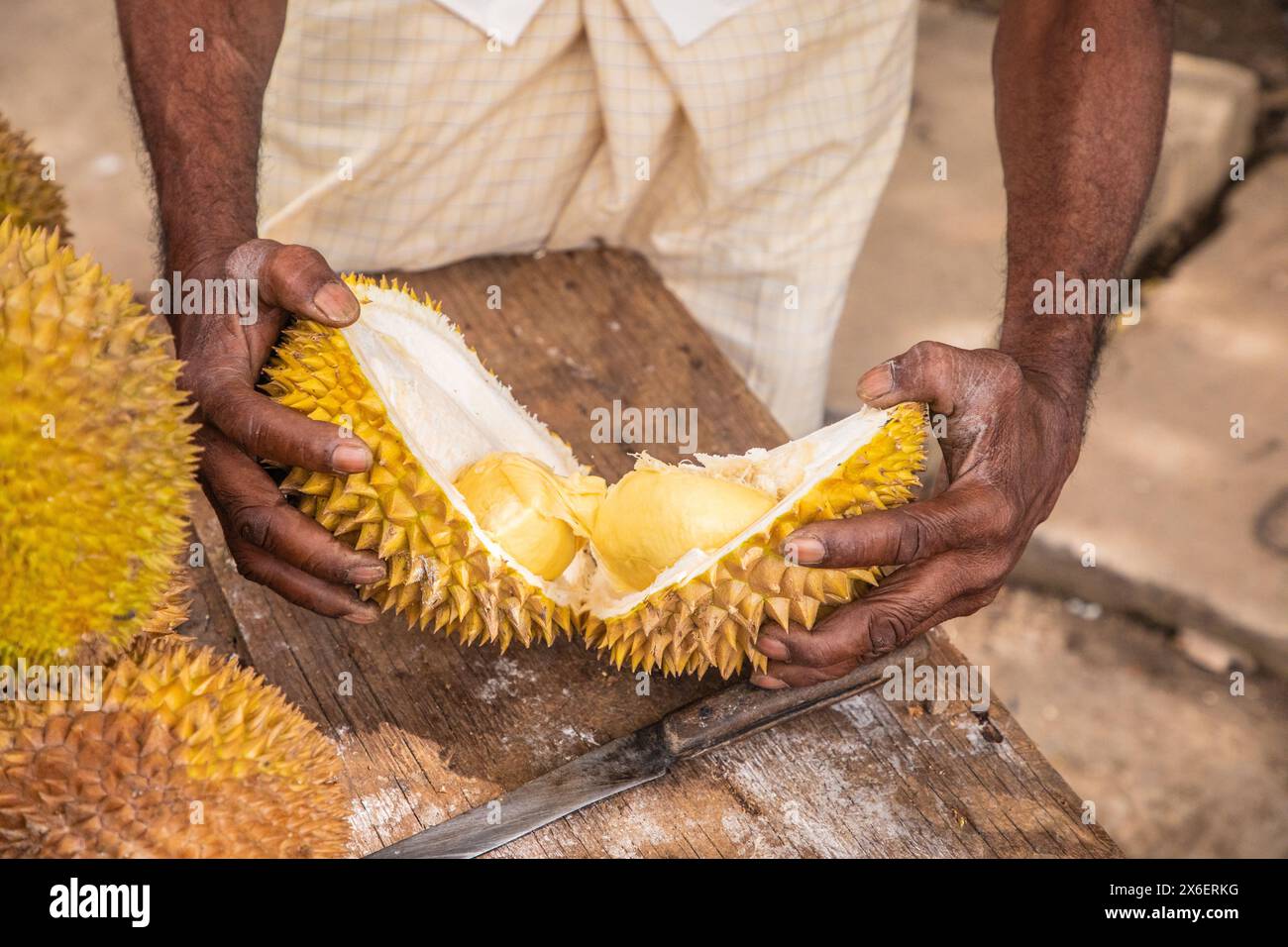 Runde reife gelbe Durianfrüchte, die auf Holztheke im Stapel gefaltet sind, zum Verkauf. Traditionelle Früchte Sri Lankas. Männliche Hände schneiden reife Durian-Früchte in t Stockfoto
