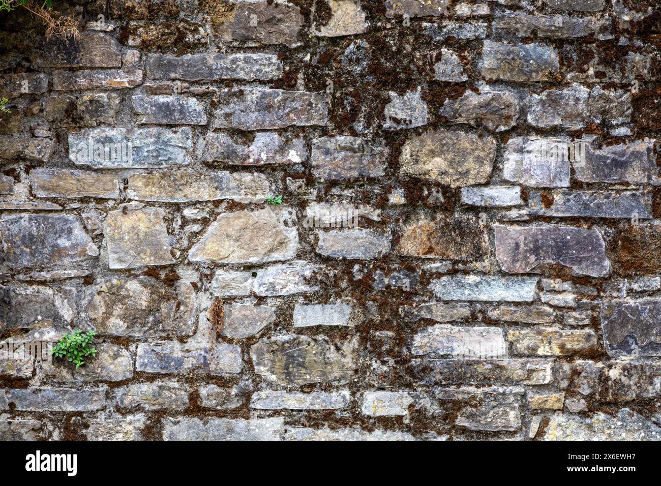 rustikale alte Ziegelaußenwand Stockfoto