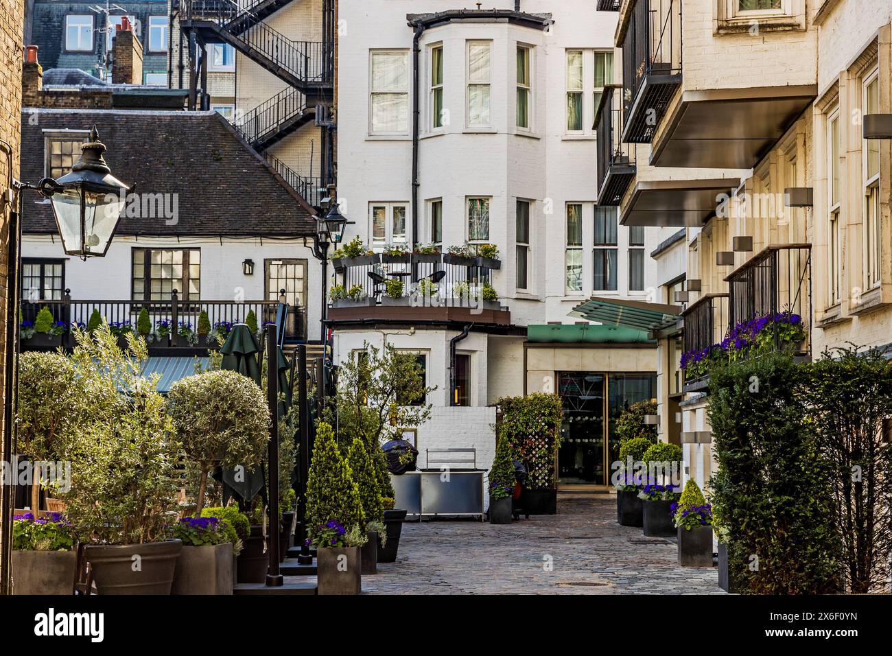 Blue Ball Yard, London, SW1, Montag, 29. April, 2024. Foto: David Rowland / One-Image.com Stockfoto