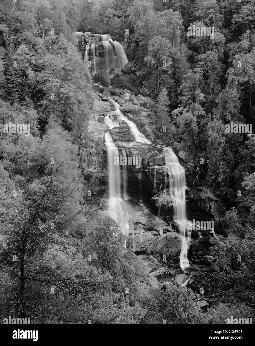 BW01811-39..... NORTH CAROLINA – Upper White Water Falls im Nantahala National Forest. Die Fälle sind die höchsten Wasserfälle östlich der Rocky Mountains. Ilford Stockfoto