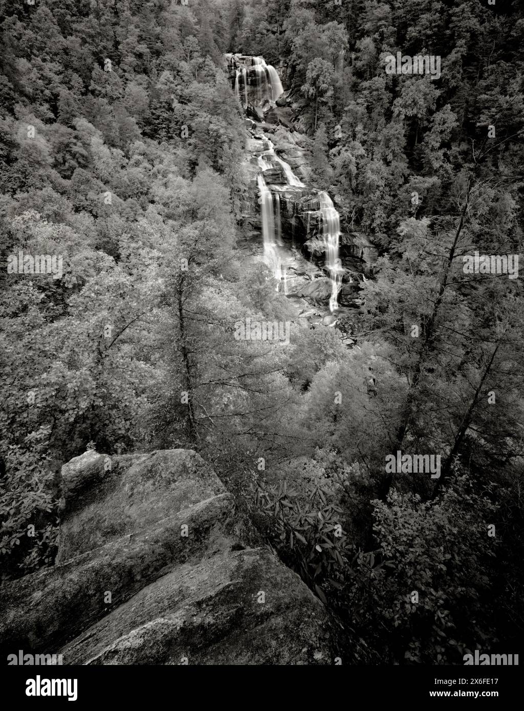 BW01811-46..... NORTH CAROLINA – Upper White Water Falls im Nantahala National Forest. Die Fälle sind die höchsten Wasserfälle östlich der Rocky Mountains. Ilford Stockfoto