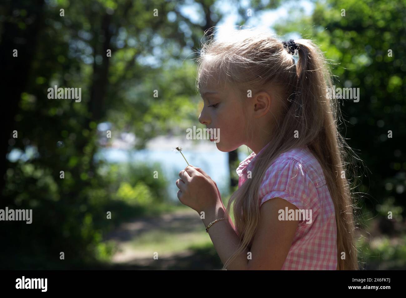 Süßes blondes kleines Mädchen, das einen Löwenzahn bläst. Nahaufnahme. Stockfoto Süßes blondes kleines Mädchen, das einen Löwenzahn bläst. Nahaufnahme. Stockfoto