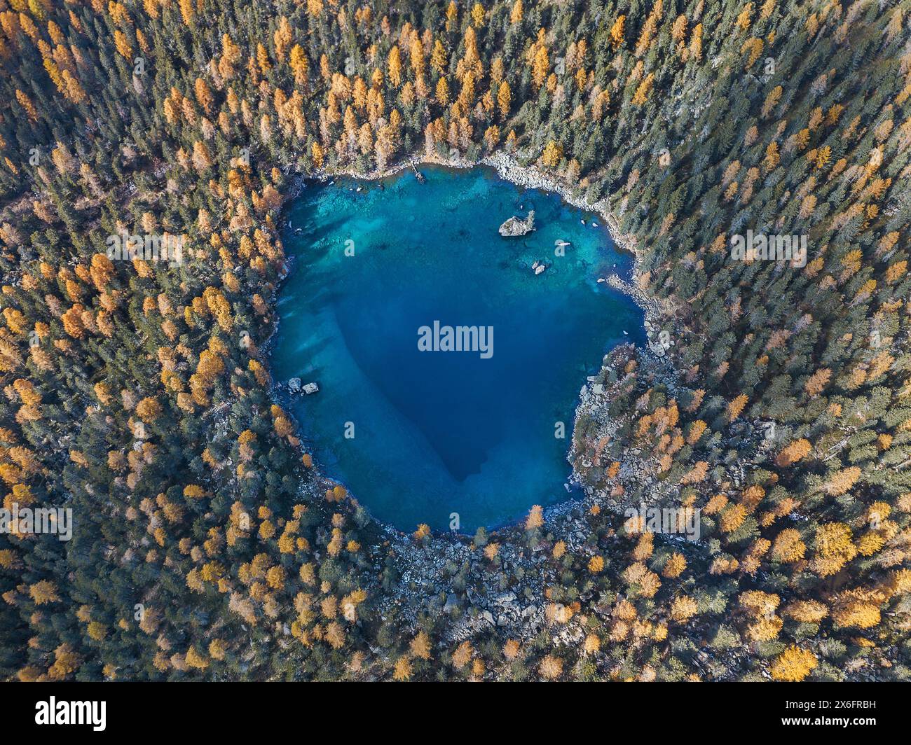 Luftaufnahme mit Drohne über einem herzförmigen See, umgeben von herbstlichen Lärchen - Saoseo See im Kanton Graubünden, Schweiz Stockfoto