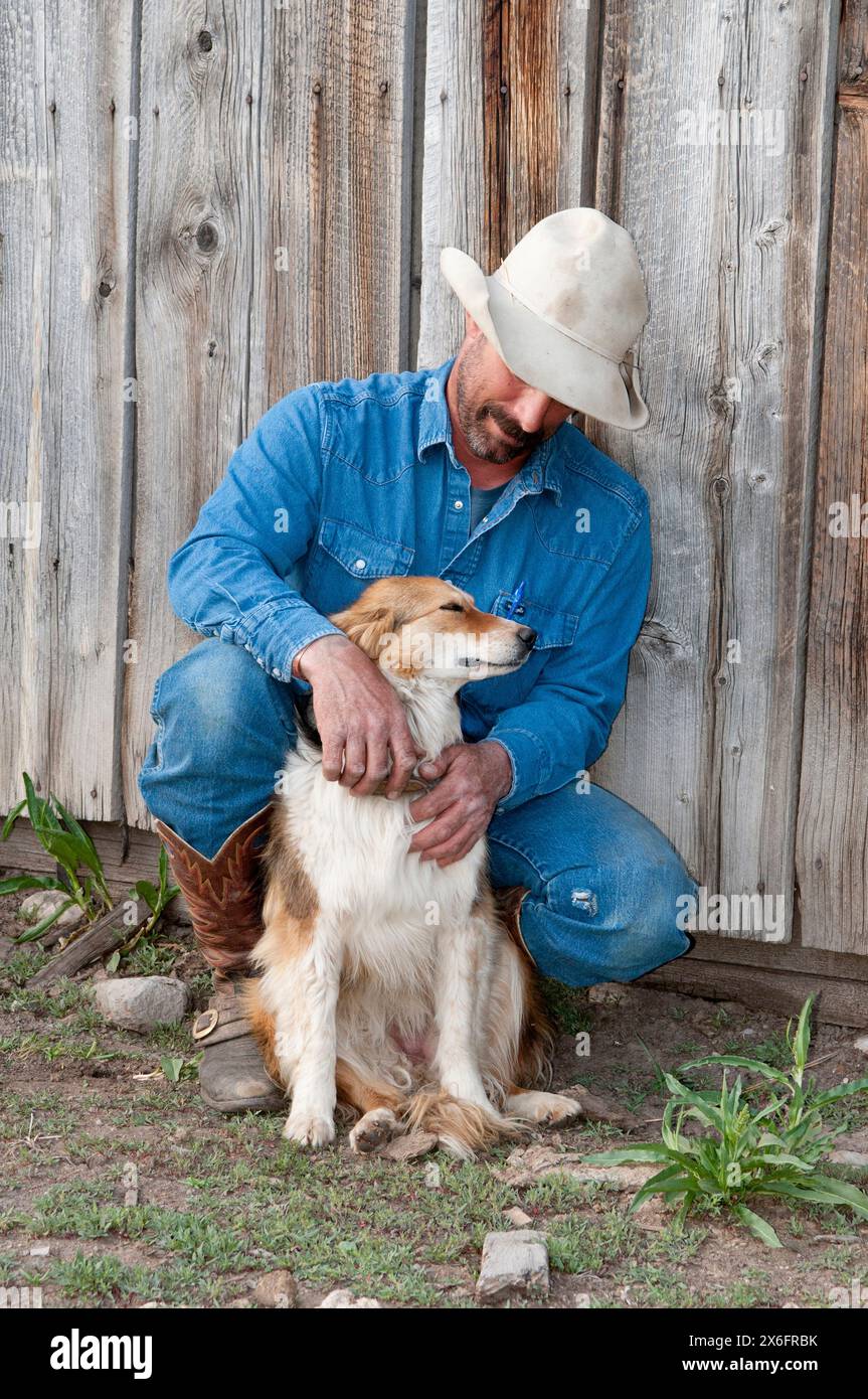 Cowboy mit australischem Hirten, der sich auf die Scheune lehnt (MR) Stockfoto