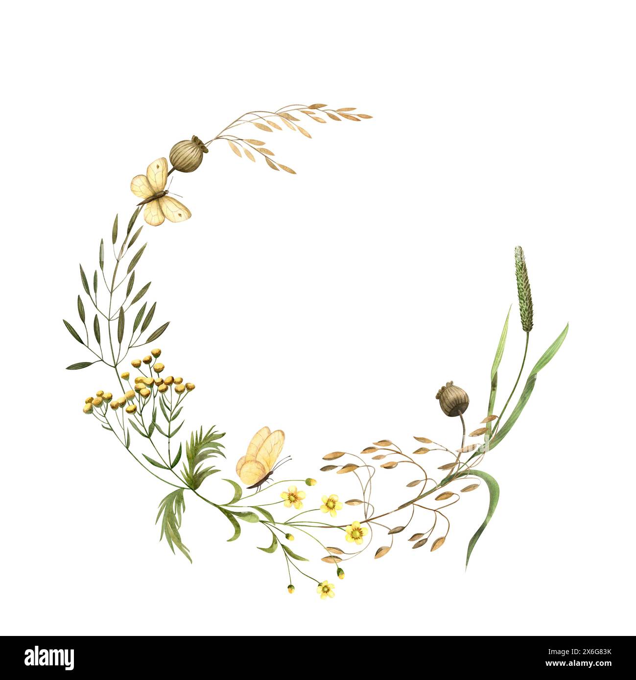 Reichtum an Feldkräutern, kleine Blüten, gelber Schmetterling. Aquarellabbildungen zum Drucken von Karten, Textilien, Verpackungen Stockfoto