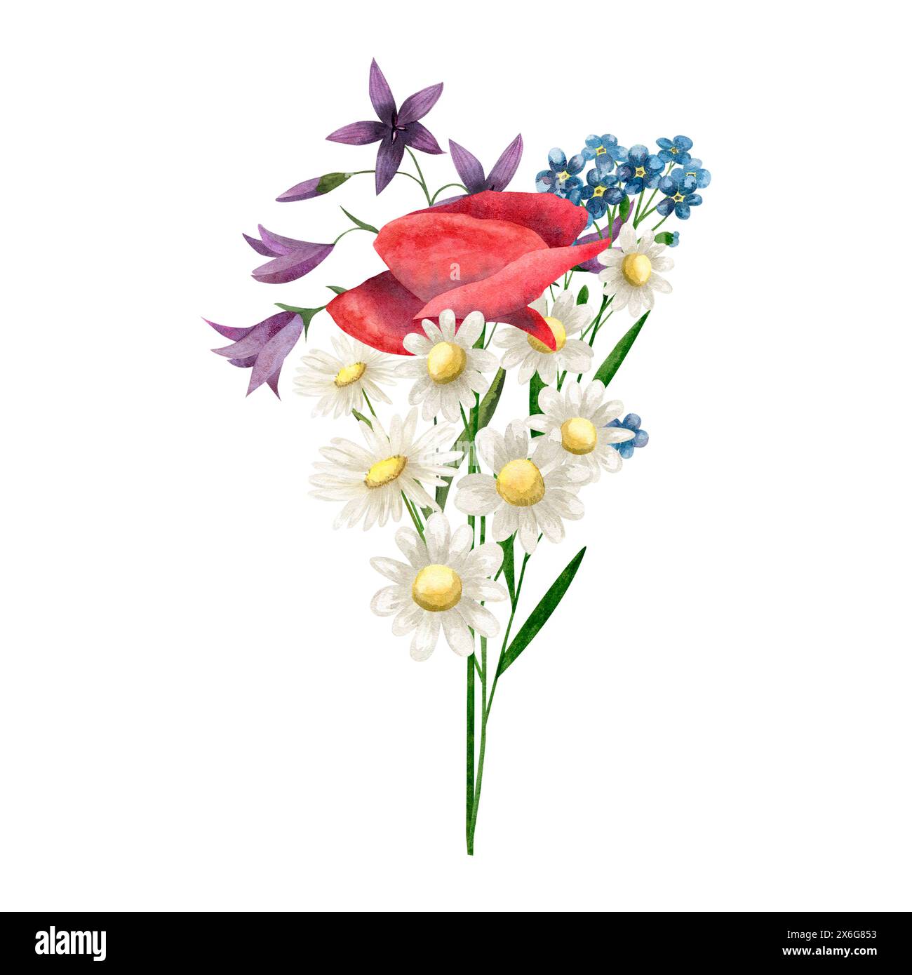 Aquarellstrauß von Wildblumen Mohn, Glockenblume, Kamille Vergissmeinnicht, Illustration für Karten, Einladungen, drucken Stockfoto