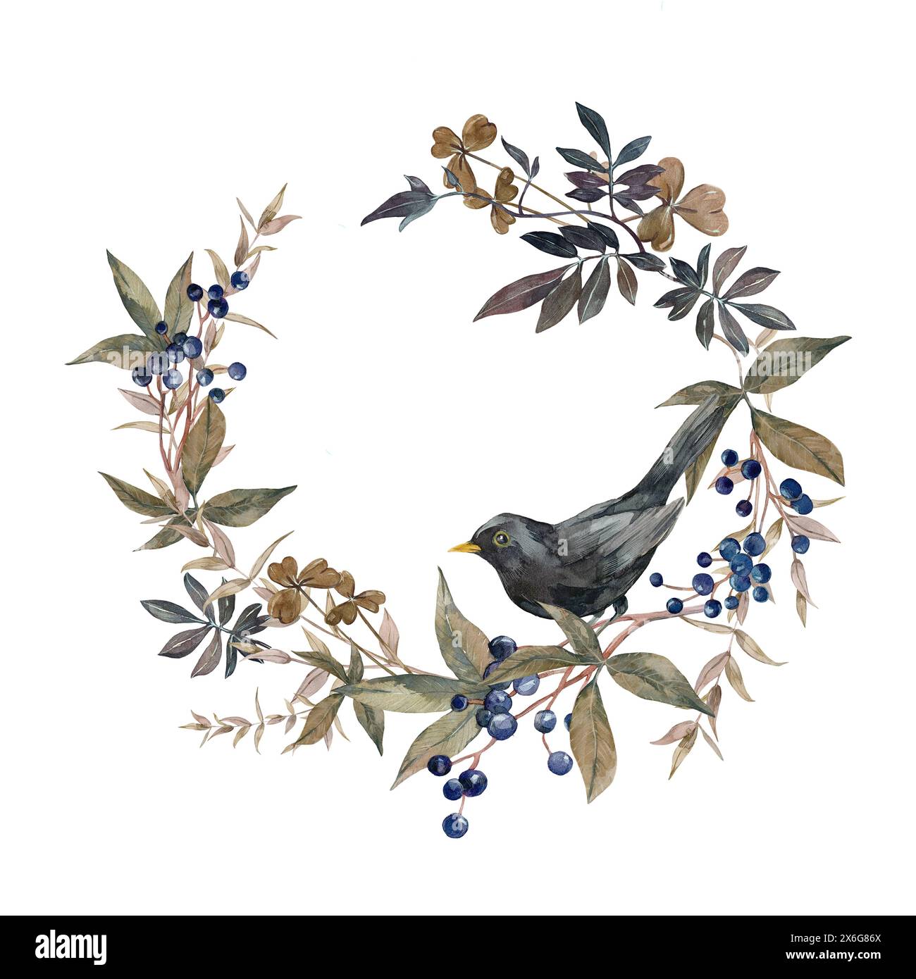 Kränze mit schwarzem Vogel, Viburnum-Zweigen, Blättern und Beeren, Eukalyptus. Stockfoto