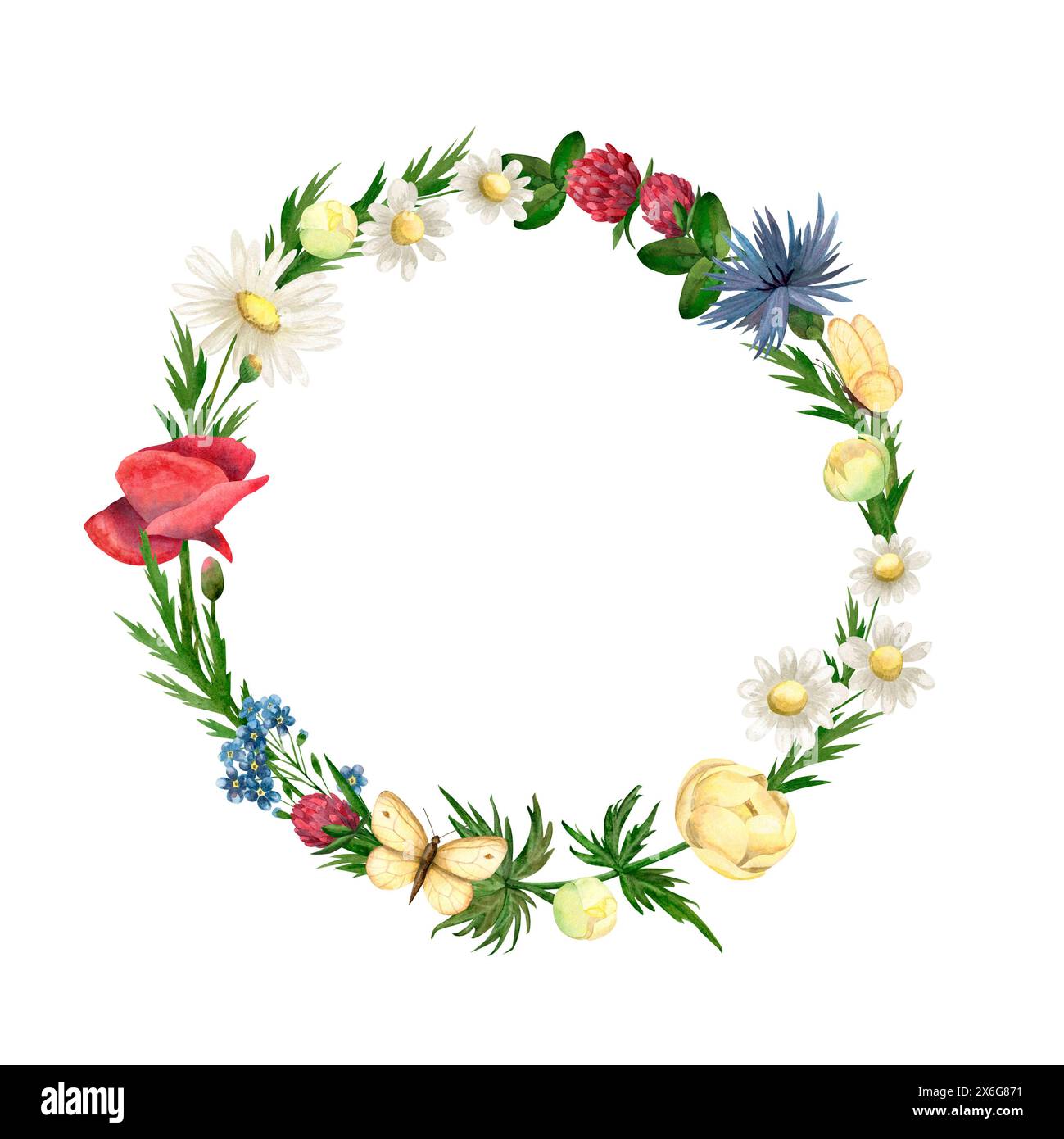 Kranz aus Wildblumen mit Aquarellen. Illustration von Kamille, Mohn, Klee, tansy, Buttercup Kornblume, Schmetterling Stockfoto