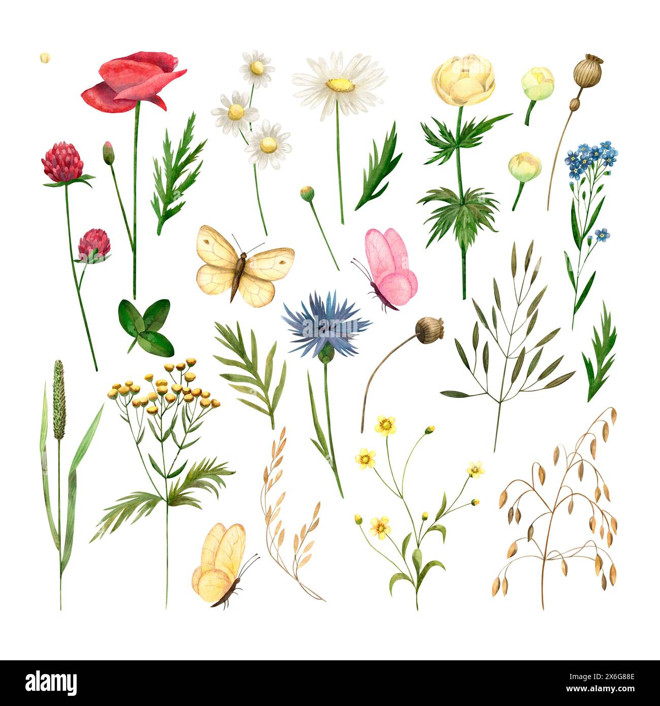 Set aus Wildblumen, Blättern und Schmetterlingen, isolierte Aquarellabbildungen für Karten, Einladungen und Druckdesign. Stockfoto