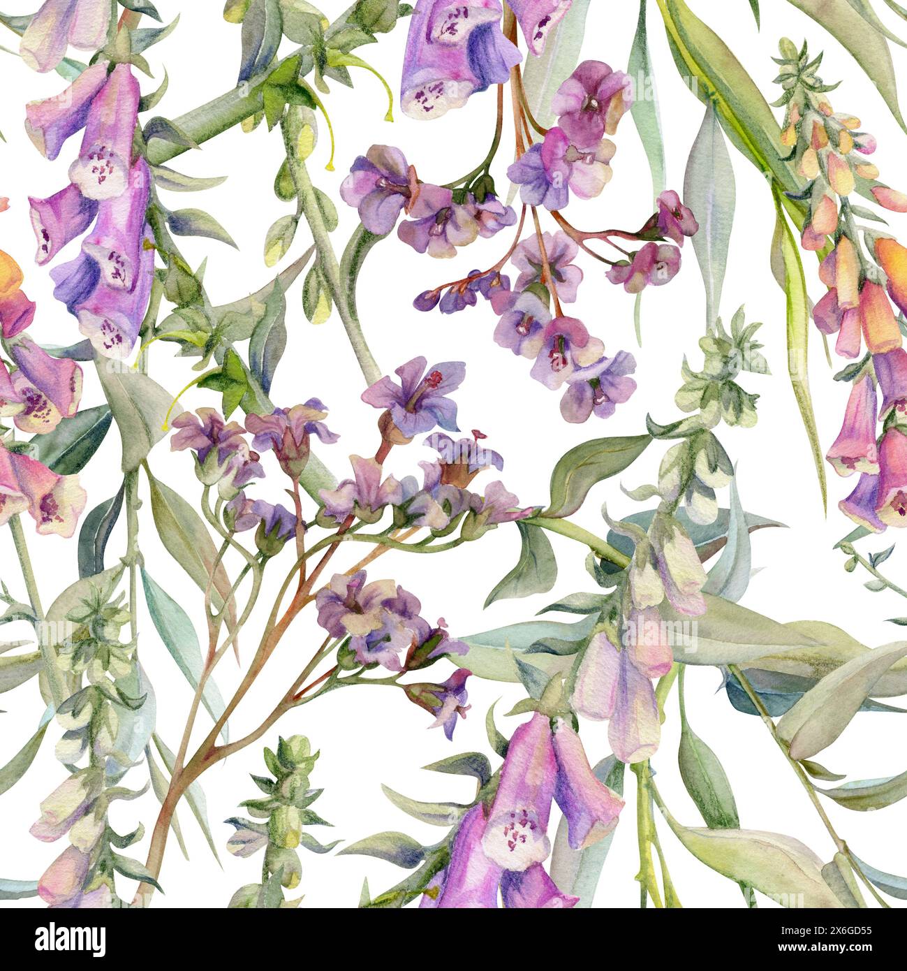 Hand gezeichnete Aquarellillustration Boho botanische Blumen Blätter. Fingerhandschuh snapdragon Lupine, Weideneukalyptus, bergenia Heliotrope. Nahtloses Muster Stockfoto