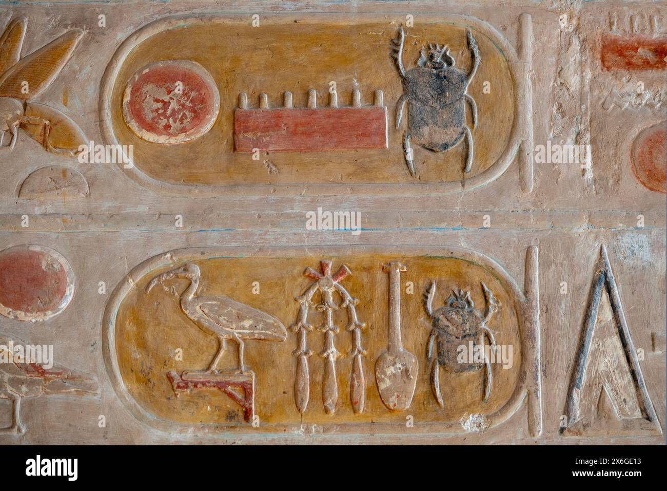 Cartouche von Thutmose III. Im Tempel der Hatschepsut in Deir el Bahari, Westbank, Luxor Ägypten Stockfoto